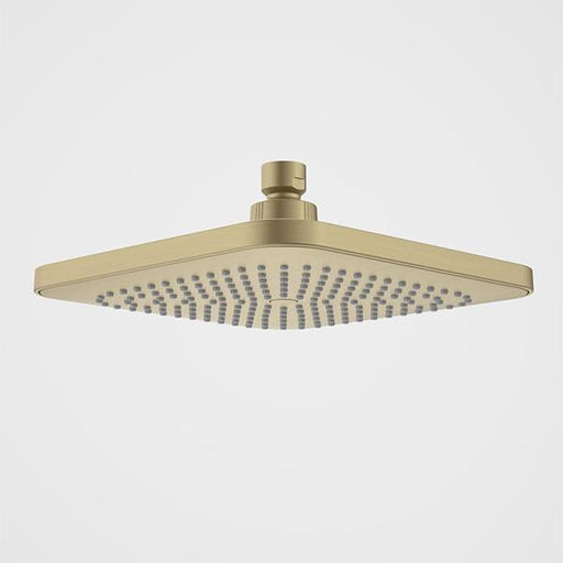 Caroma Luna Overhead Shower Head Brushed Brass-90386BB4E-blue-leaf-bathware