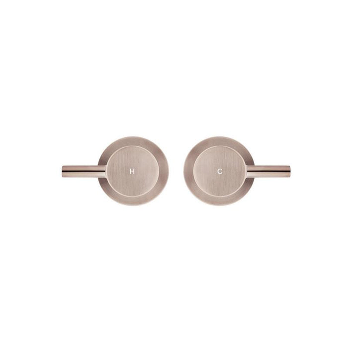 Meir Round Quarter Turn Wall Top Assemblies - Champagne-blue-leaf-bathware