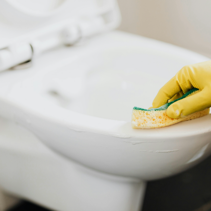 What is a Rimless Toilet? Pros and Cons Compared to a Traditional Toilet