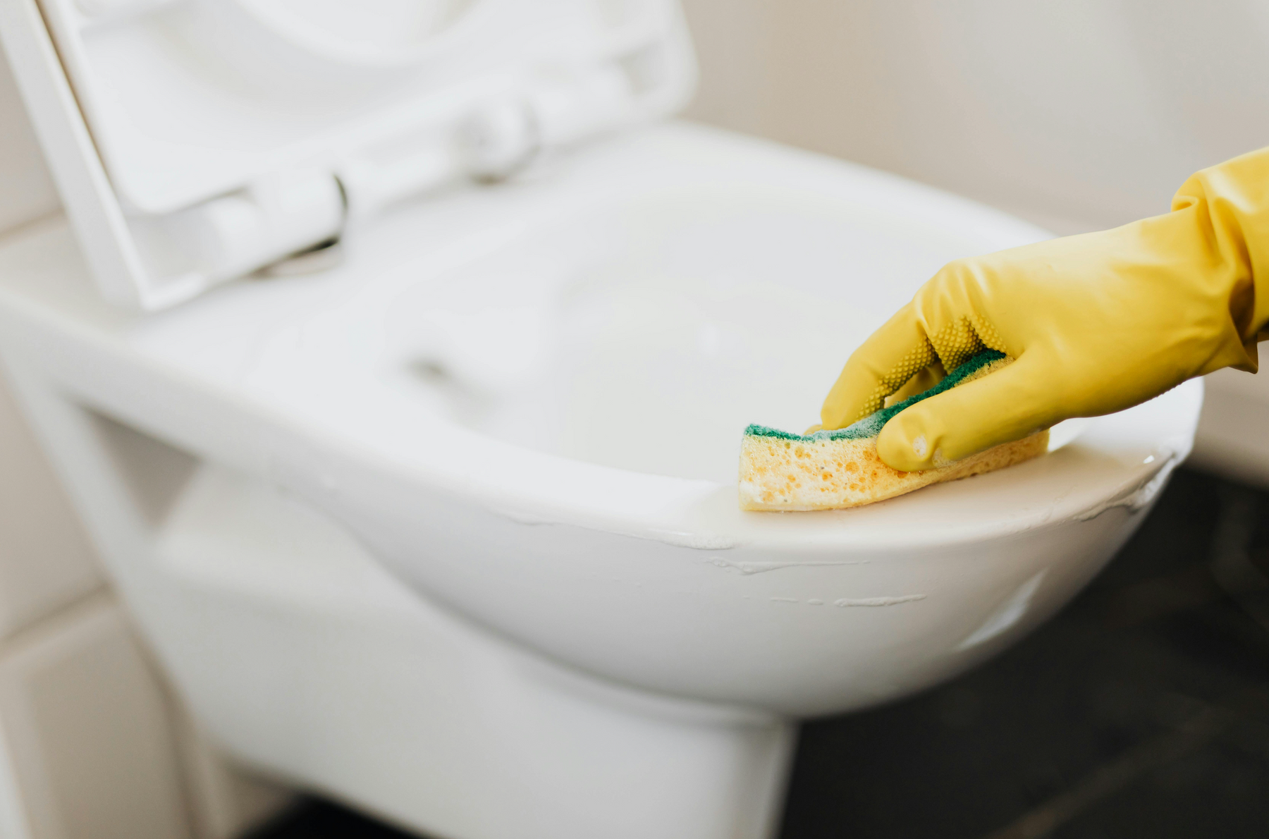 What is a Rimless Toilet? Pros and Cons Compared to a Traditional Toilet