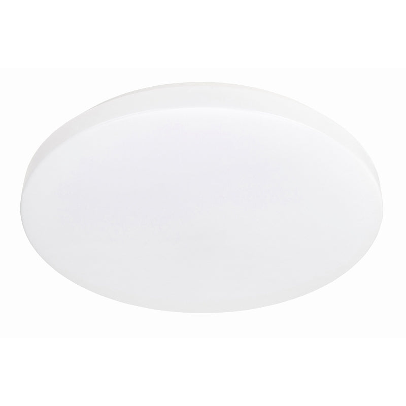 Brilliant Oyster Lights