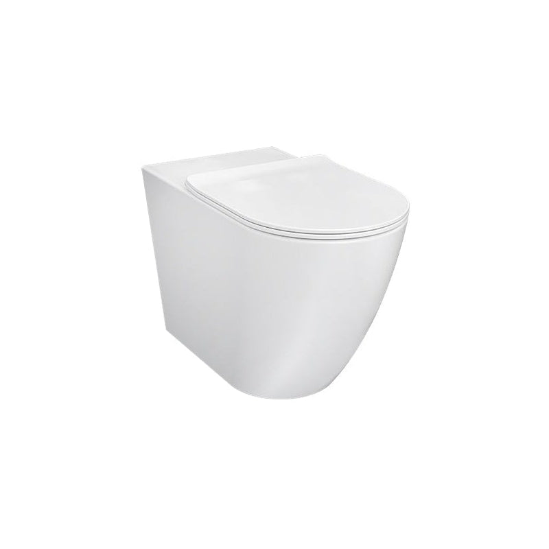 Rimless Toilets