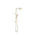 Nero Bianca Twin Shower - Brushed Gold-NR250805cBG-blue-leaf-bathware