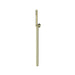 Nero Slim Shower On Bracket - Brushed Gold-NR307BG-blue-leaf-bathware