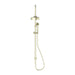 Nero York Twin Shower With Metal Hand Shower - Aged Brass-NR69210502AB-blue-leaf-bathware