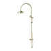 Nero York Twin Shower With Metal Hand Shower - Aged Brass-NR69210502AB-blue-leaf-bathware