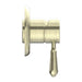 Nero York Shower Mixer With Metal Lever - Aged Brass-NR69210902AB-blue-leaf-bathware