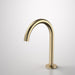 Caroma Liano II Hob Swivel Outlet 160mm - Brushed Brass