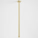 Caroma Urbane II 500mm Ceiling Shower Arm - Brushed Brass-99640BB-blue-leaf-bathware