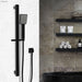 Fienza Koko Matte Black Rail Shower-444107B-blue-leaf-bathware