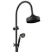 Fienza Lillian Multifunction Rail Shower - Matte Black-455114B-blue-leaf-bathware