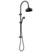 Fienza Lillian Multifunction Rail Shower - Matte Black-455114B-blue-leaf-bathware