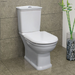 Fienza RAK Washington White Close-Coupled Toilet Suite-070130W-blue-leaf-bathware