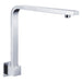 Fienza Square Fixed Gooseneck Arm-422110-blue-leaf-bathware