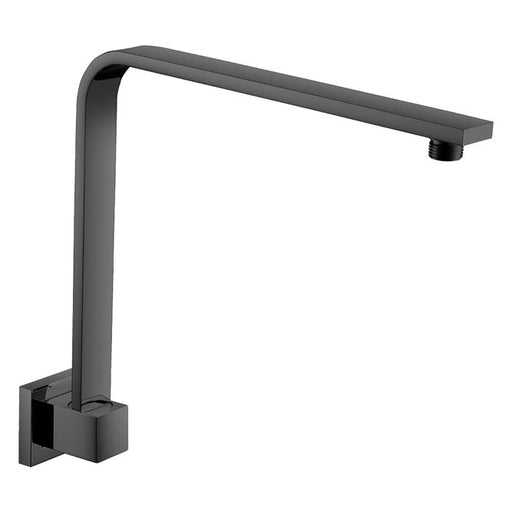 Fienza Square Matte Black Fixed Gooseneck Arm-422113-blue-leaf-bathware