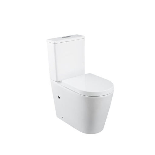 Linsol Florida Care Link Toilet with Backrest - Gloss White 