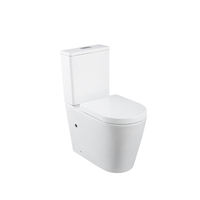 Linsol Florida Care Link Toilet with Backrest - Gloss White 