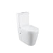 Linsol Florida Care Link Toilet with Backrest - Gloss White 