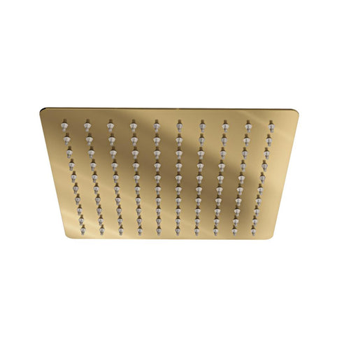 Linsol Ocean 200mm Square Shower Head - Brushed Brass 