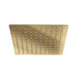 Linsol Ocean 200mm Square Shower Head - Brushed Brass 