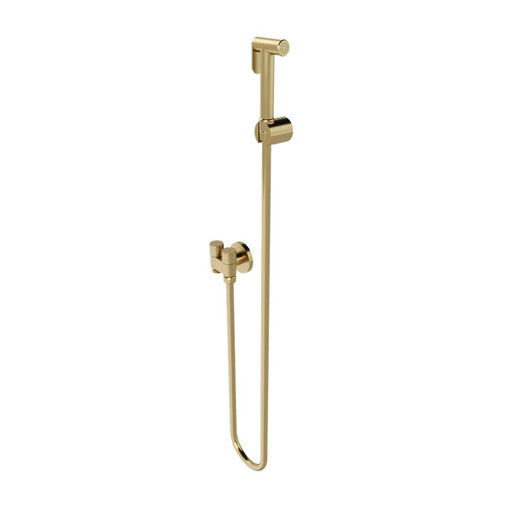 Linsol Zarah Bidet/Douche Spray with Dual Controller - Brushed Brass 