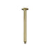 Meir Round Ceiling Shower Arm 300mm - PVD Tiger Bronze Gold-blue-leaf-bathware