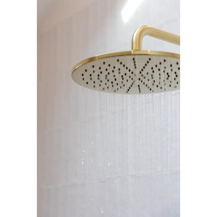 Meir Round Shower Rose 300mm - PVD Tiger Bronze-blue-leaf-bathware