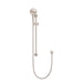 Meir Round Three Function Hand Shower on Rail Column - Champagne-blue-leaf-bathware