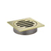 Meir Square Floor Grate Shower Drain 80mm Outlet - Tiger Bronze-MP06-80-PVDBB-blue-leaf-bathware