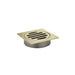 Meir Square Floor Grate Shower Drain 80mm outlet - PVD Tiger Bronze-blue-leaf-bathware