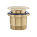 Mixx 32/40mm Universal Pop Up Basin Waste - Brushed Gold-Blue Leaf Bathware &amp; Tiles