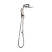 Mixx Chai Twin Shower - Brushed Nickel-Blue Leaf Bathware &amp; Tiles