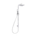 Mixx Chai Twin Shower - Chrome-Blue Leaf Bathware &amp; Tiles
