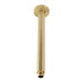Mixx Matcha Ceiling Arm 300mm - Brushed Gold-Blue Leaf Bathware &amp; Tiles