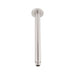 Mixx Matcha Ceiling Arm 450mm - Brushed Nickel-Blue Leaf Bathware &amp; Tiles