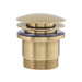 Mixx Plug & Waste Universal Dome Pop Up Waste - Brushed Gold-Blue Leaf Bathware &amp; Tiles