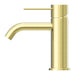 Nero Mecca Basin Mixer - Brushed Gold-NR221901BG-blue-leaf-bathware