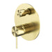 Nero Mecca Shower Mixer With Diverter - Brushed Gold-NR221911aBG-blue-leaf-bathware