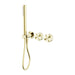 Nero Opal Progressive Shower System Separate Plate - Brushed Gold-NR252003dBG-blue-leaf-bathware