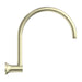 Nero York Shower Arm - Aged Brass-NR508AB-blue-leaf-bathware