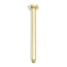 Nero Zen 316L Round Ceiling Arm 300mm - Brushed Gold-NR510BG-blue-leaf-bathware