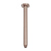 Nero Zen 316L Round Ceiling Arm 300mm - Brushed Bronze-NR510BZ-blue-leaf-bathware