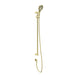 Nero Mecca Care 25mm Grab Rail And Adjustable Shower Rail Set 900mm - Brushed Gold-NRCS004BG-blue-leaf-bathware