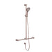 Nero Mecca Care 32mm T Bar Grab Rail And Adjustable Shower Set 1100x750mm - Brushed Bronze-NRCS006BZ-blue-leaf-bathware