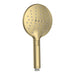 Parisi Elli II Hand Shower (3 Function) with Hose - Brushed Brass-E2.HS-3.46-blue-leaf-bathware