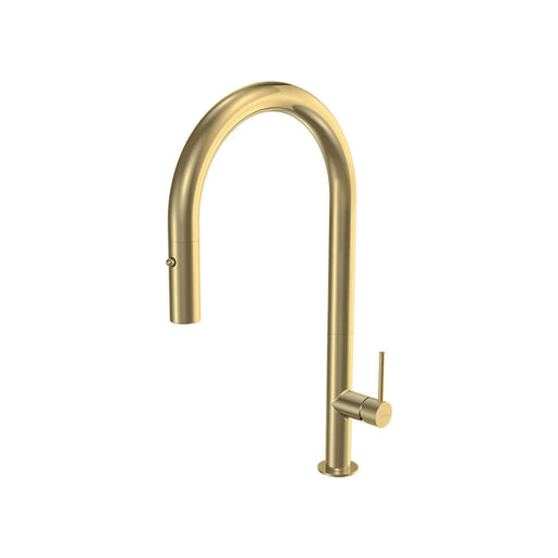 Parisi Envy 30 Kitchen Mixer with Round Spout and Pull Out Spray - Brushed Brass-P30.07-1HRO.46-blue-leaf-bathware