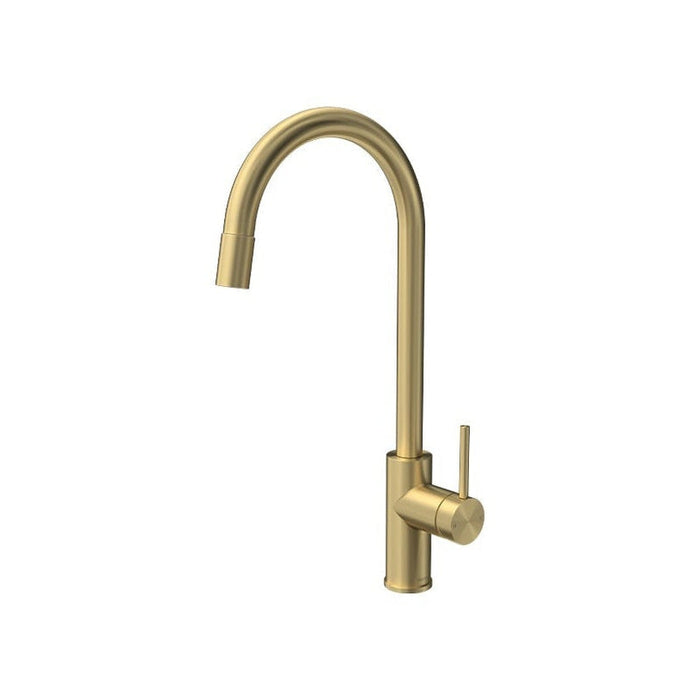 Parisi Envy Kitchen Mixer with Round Spout Pull Out Spray Brushed Brass-P2.07-1HRO.46-blue-leaf-bathware