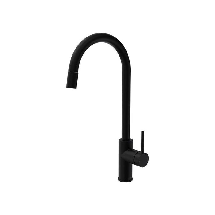 Parisi Envy Kitchen Mixer with Round Spout Pull Out Spray Matt Black-P2.07-1HRO.02-blue-leaf-bathware