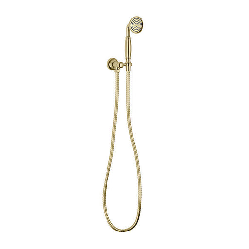 Phoenix Cromford Hand Shower - Brushed Gold-134-6610-12-blue-leaf-bathware