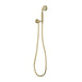 Phoenix Cromford Hand Shower - Brushed Gold-134-6610-12-blue-leaf-bathware